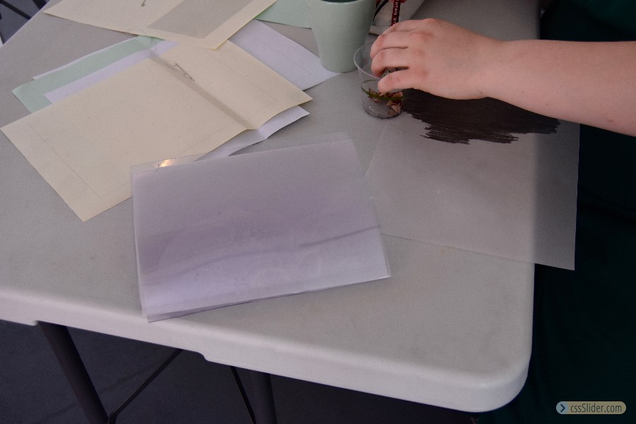 xenoblood Xenzine workshop at ace open with sister gallery