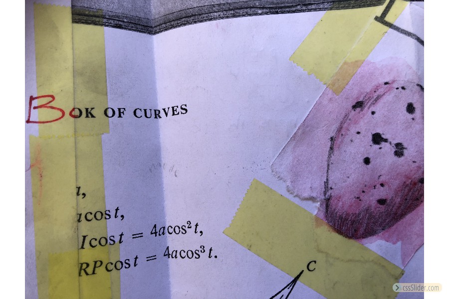 tero hoskin - bok of curves - xenoblood Xenzine workshop at ace open with sister gallery