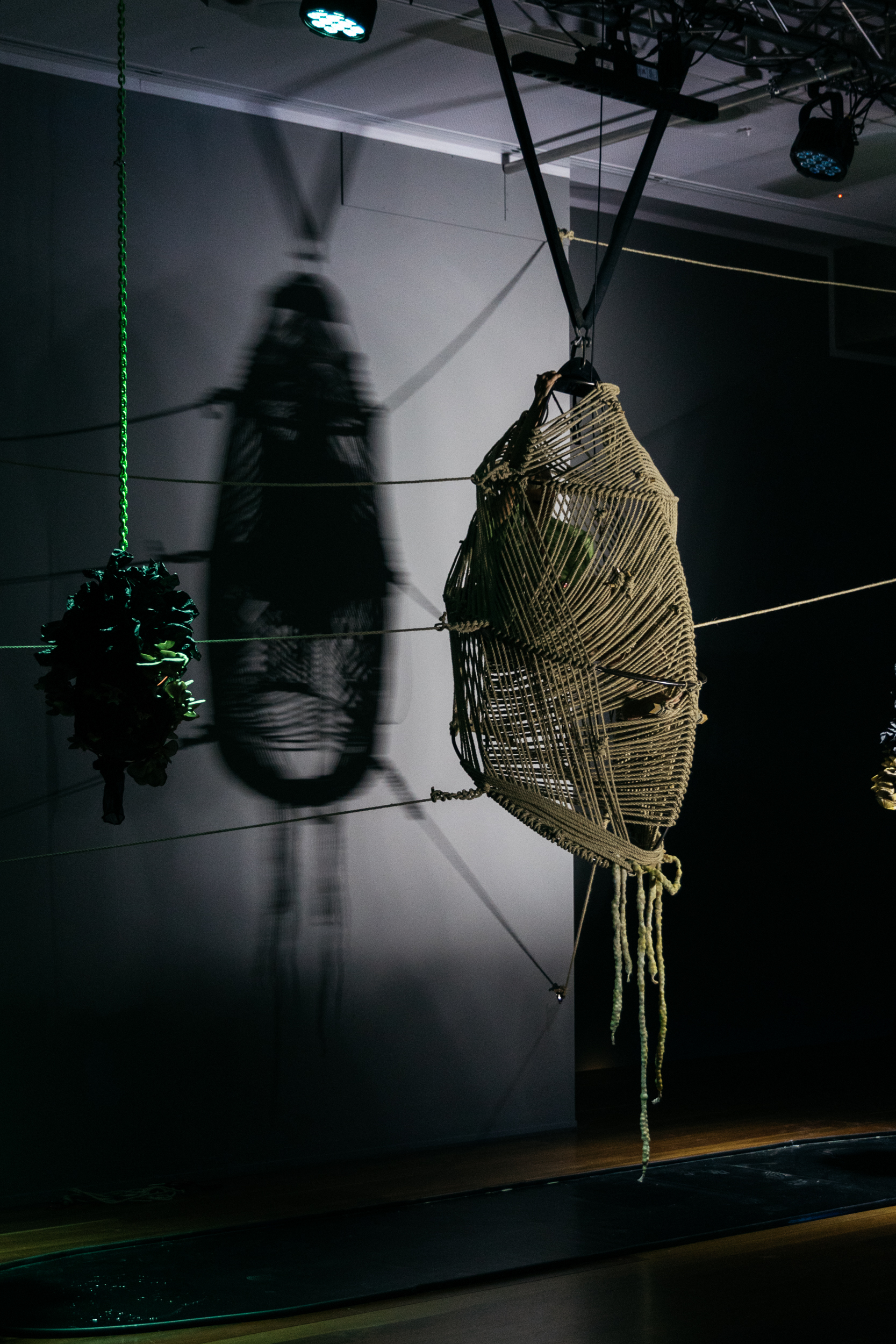 Exosmosis — rope pod and shadow, Samstag Museum of Art, 2022