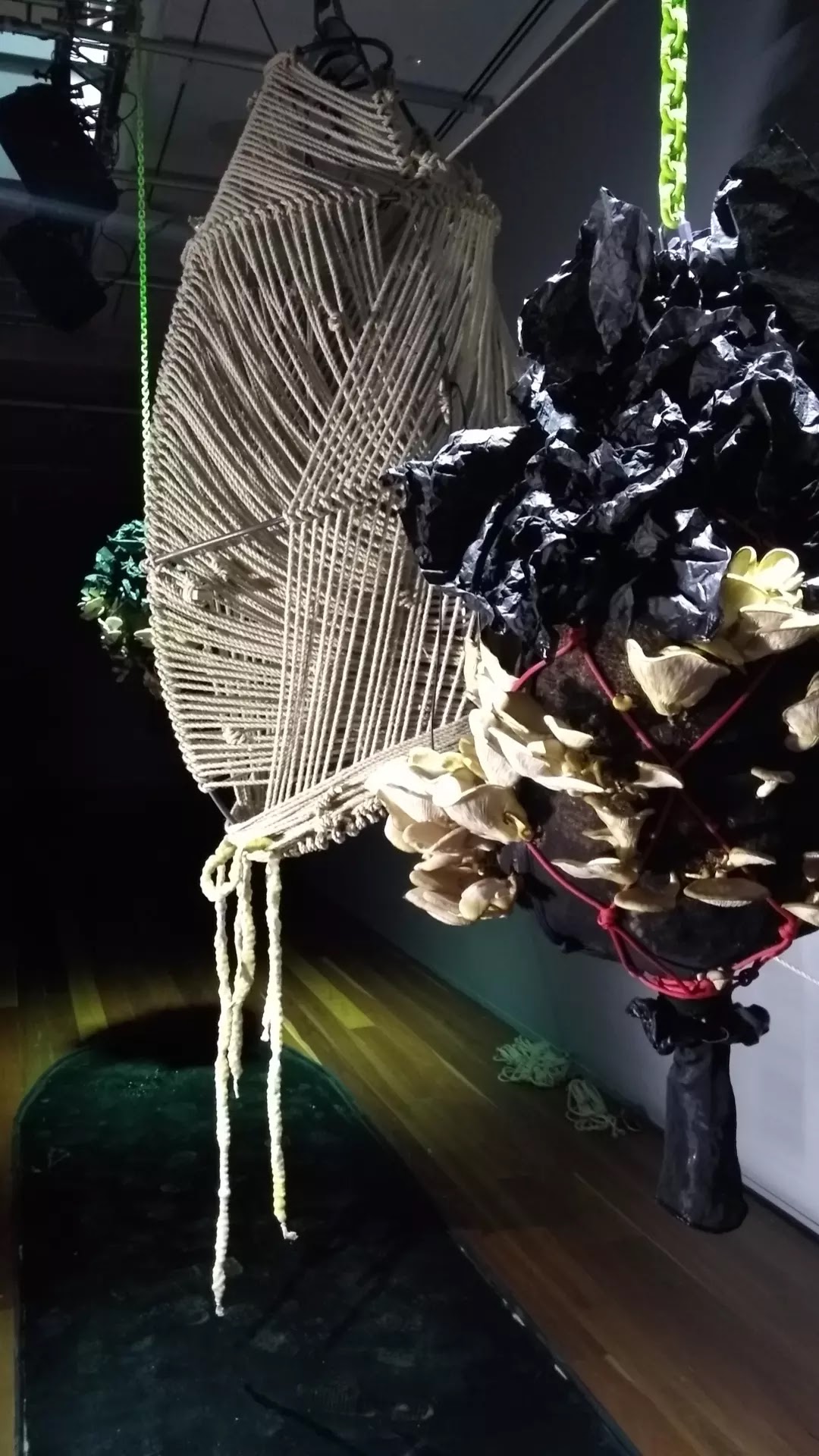 Exosmosis — rope pod and sculptural props detail, Samstag Museum of Art, 2022