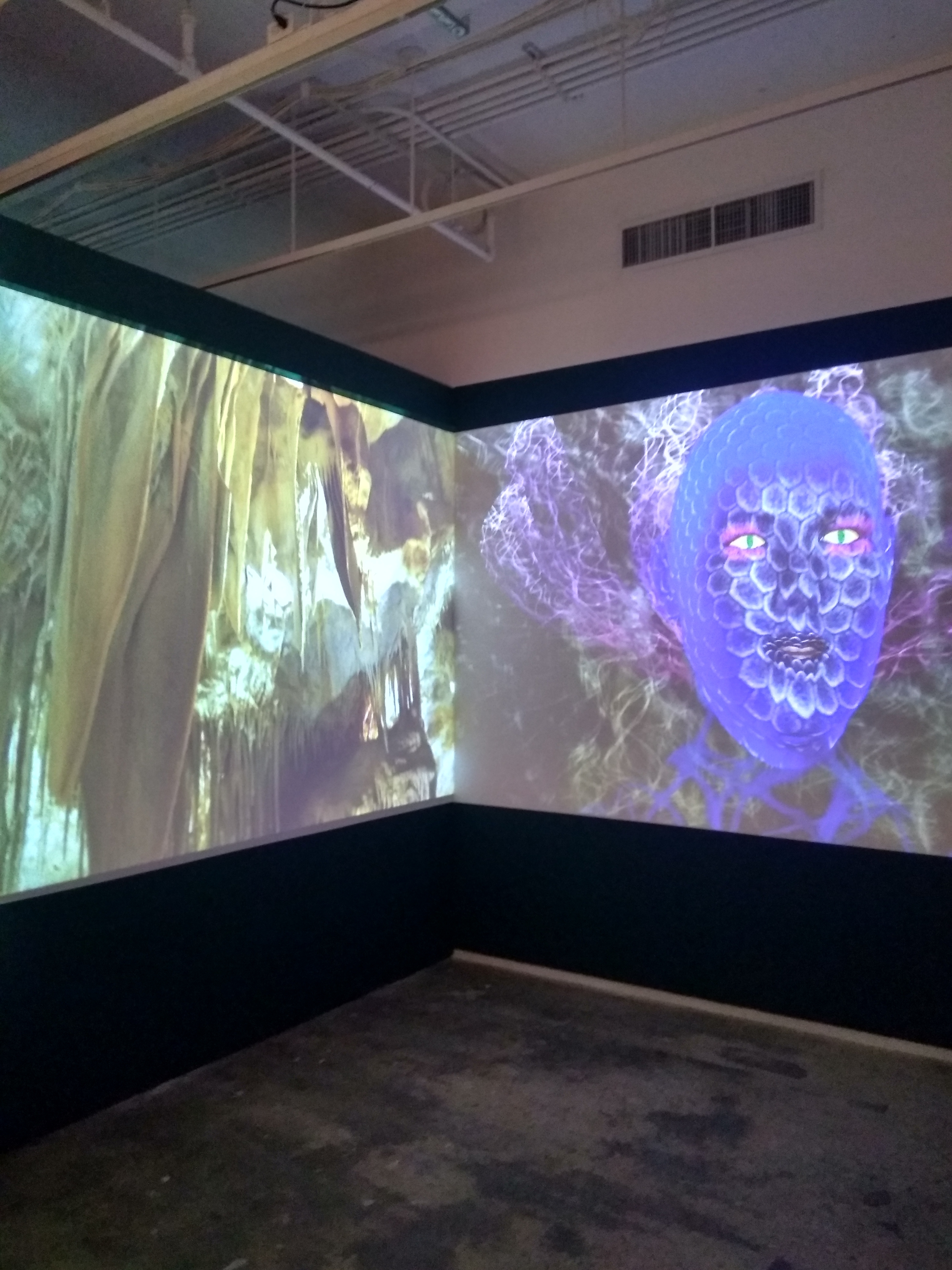 install shot, her eyes were as black as coal, sound, video and sculptural installation by virginia barratt and francesca da rimini, hudson gallery, new york, 2019