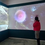 install shot, her eyes were as black as coal, sound, video and sculptural installation by virginia barratt and francesca da rimini, hudson gallery, new york, 2019