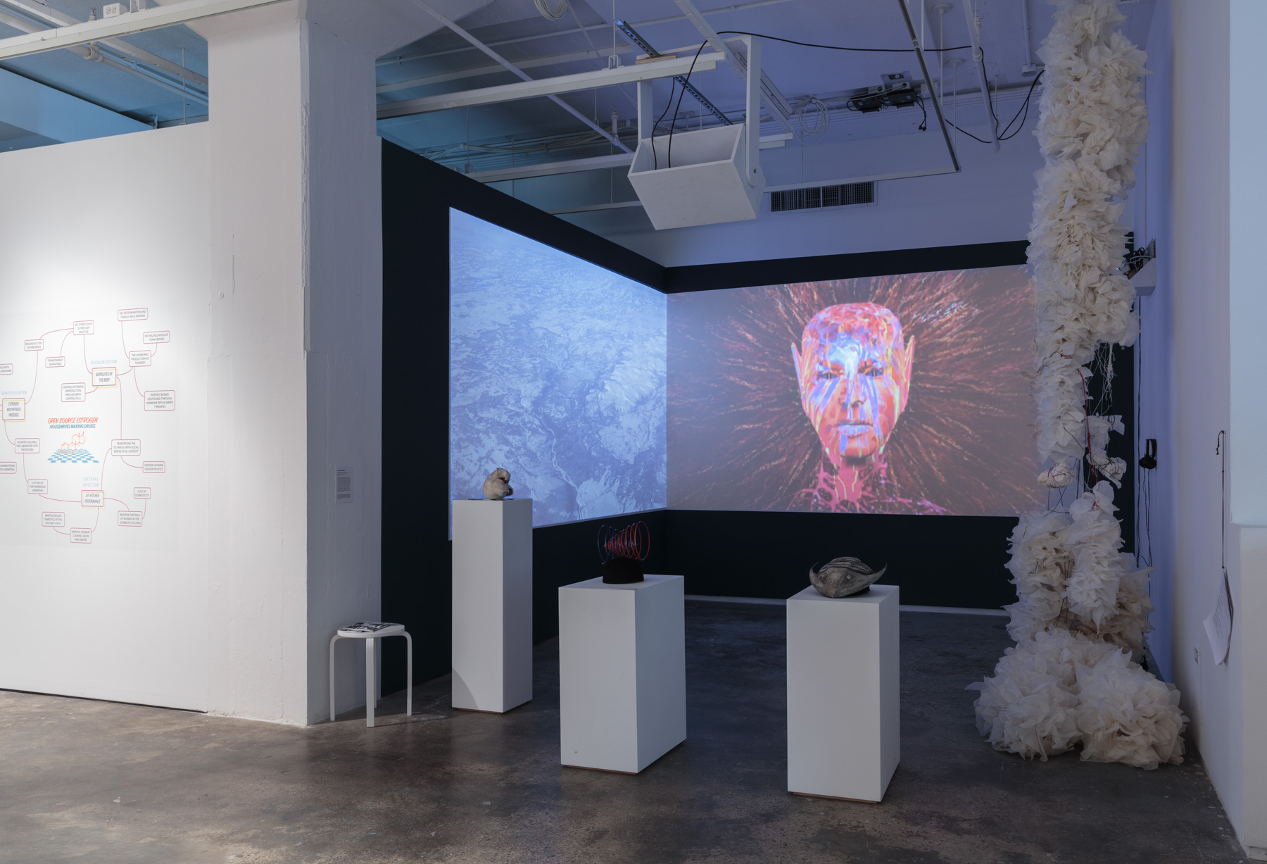 install shot, her eyes were as black as coal, sound, video and sculptural installation by virginia barratt and francesca da rimini, hudson gallery, new york, 2019