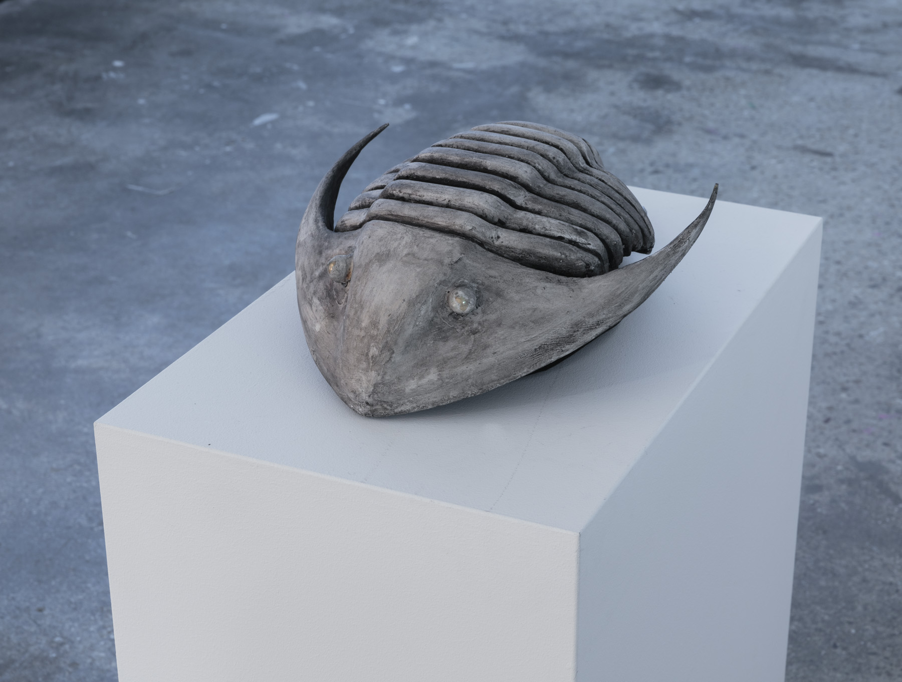 head sculpture, her eyes were as black as coal, sound, video and sculptural installation by virginia barratt and francesca da rimini, hudson gallery, new york, 2019