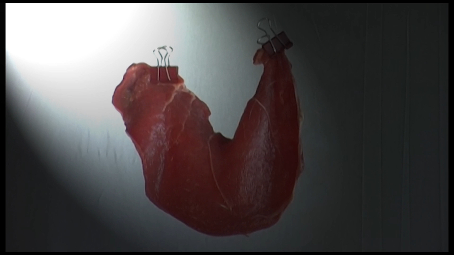 video still: meat: B.A.B.S: A Ireland, V Barratt, F da Rimini, 20th Biennale of Sydney, 2016